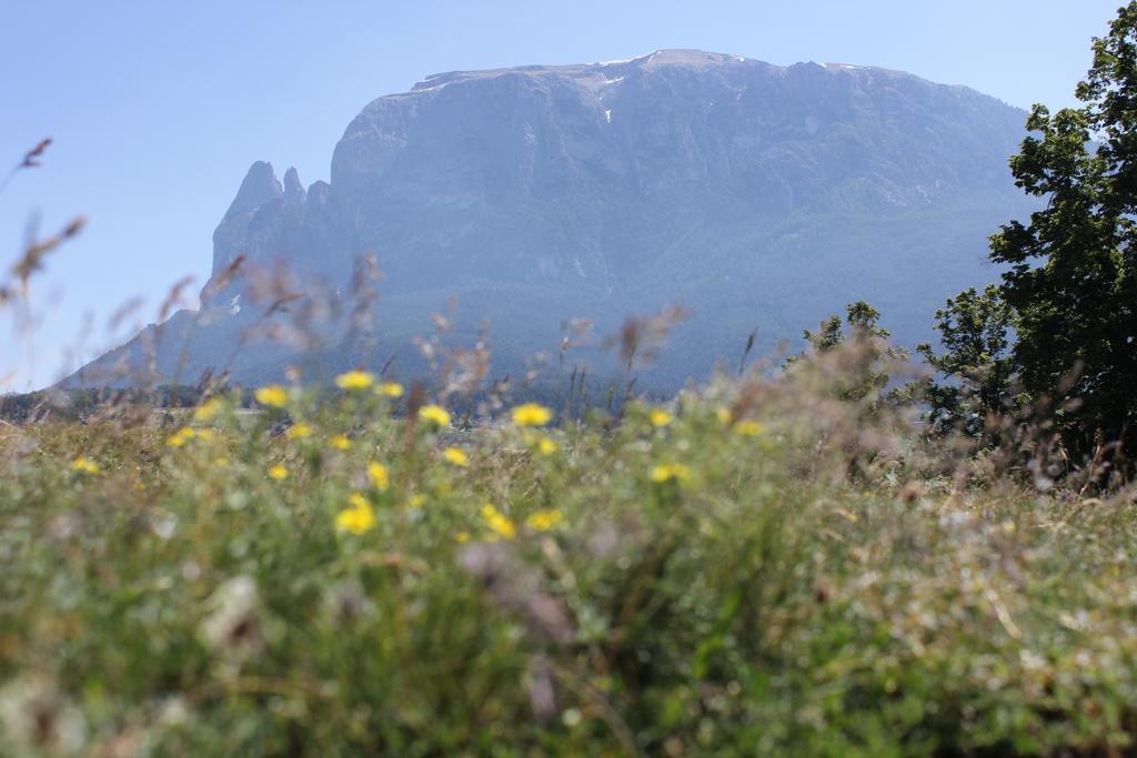 Villa Martha Vintage Hotel-B&B (Adults Only) Santa Cristina Val Gardena Exterior foto